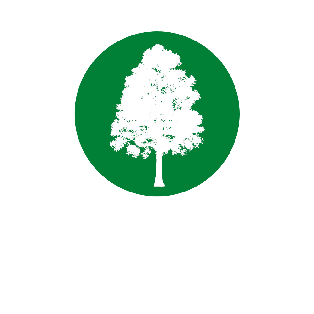 Agatis Square White